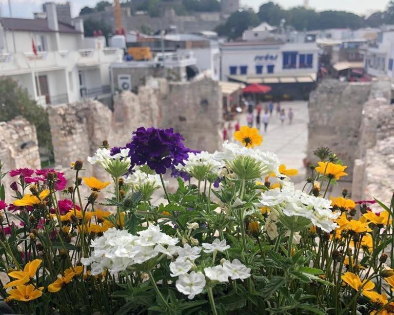 Houses Of Socrates - Manzara Bodrum Exterior photo